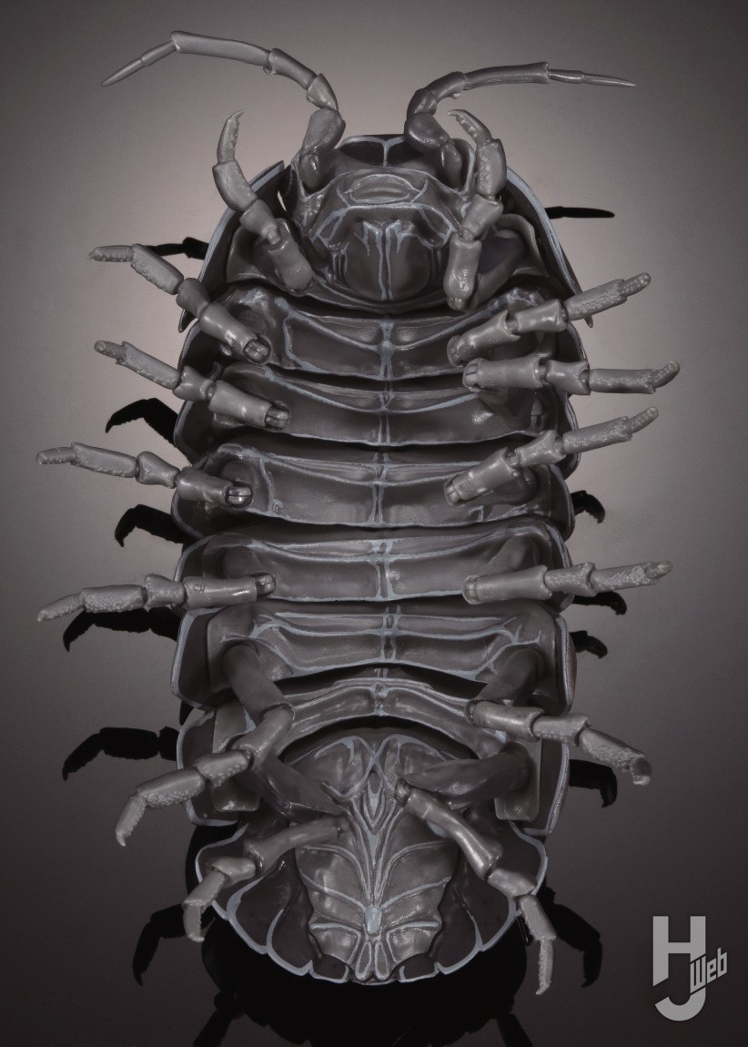 いきもの大図鑑」“だんごむし”が7年ぶりにカムバック！脚のディテール