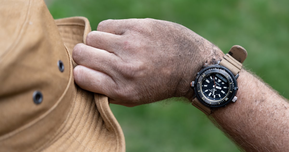 d487503c9236a21efb2835098ba709