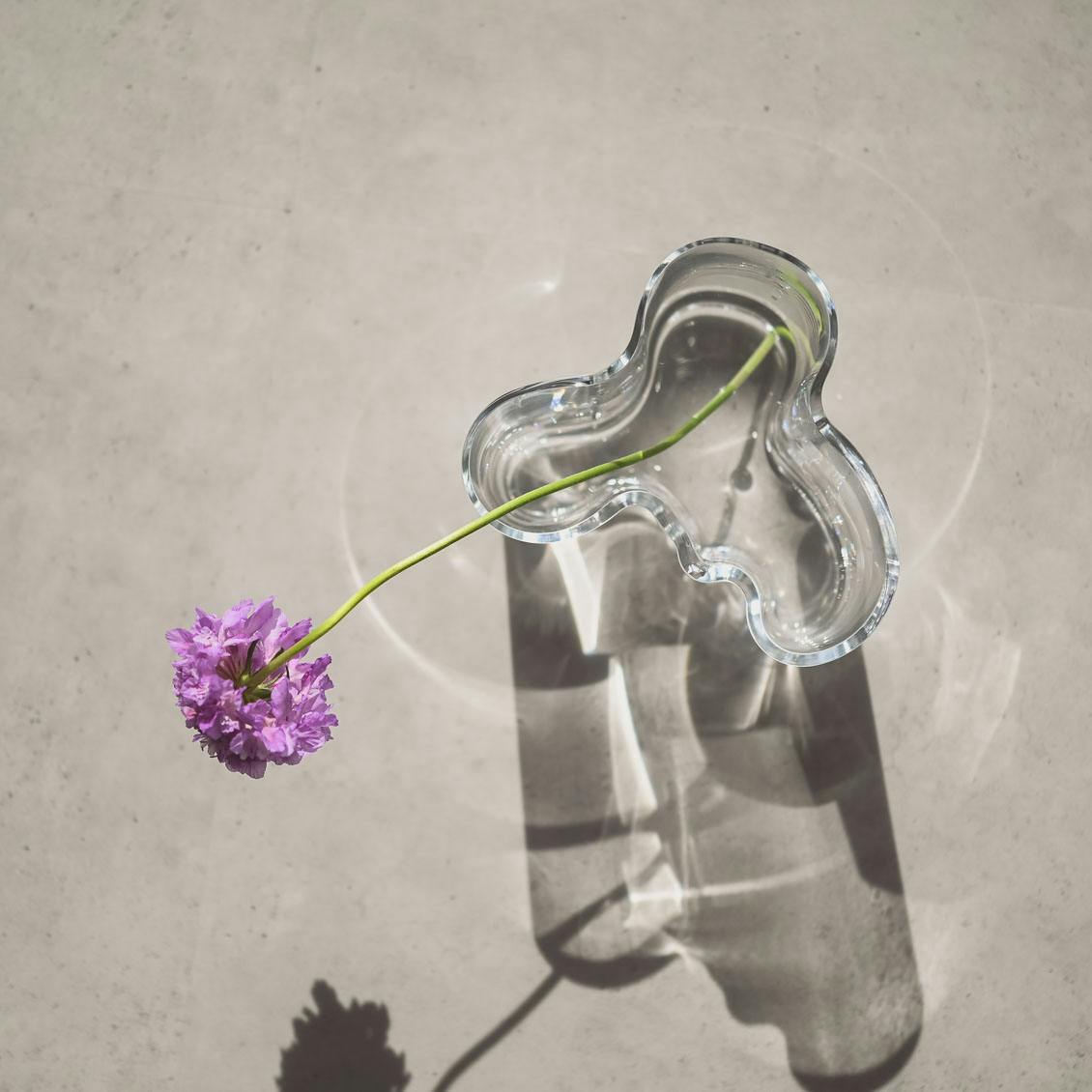 iittala/イッタラ/Alvar Aalto/アルヴァ・アアルト/ 花瓶 120mm クリア