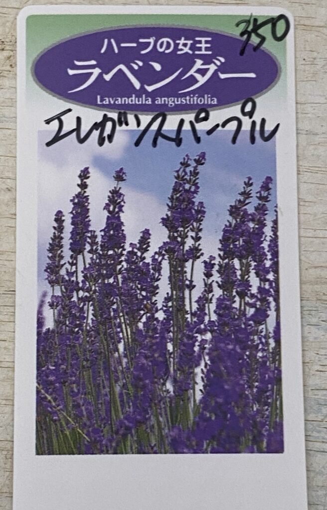 ベルニナミシン刺繍ソフト ＃Desiner Sofut V9 | HOTARU