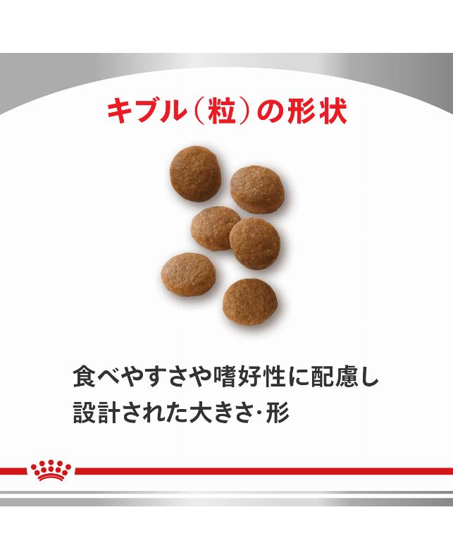 ロイヤルカナン 〈猫用〉 ユリナリーS／O オルファクトリー ライト