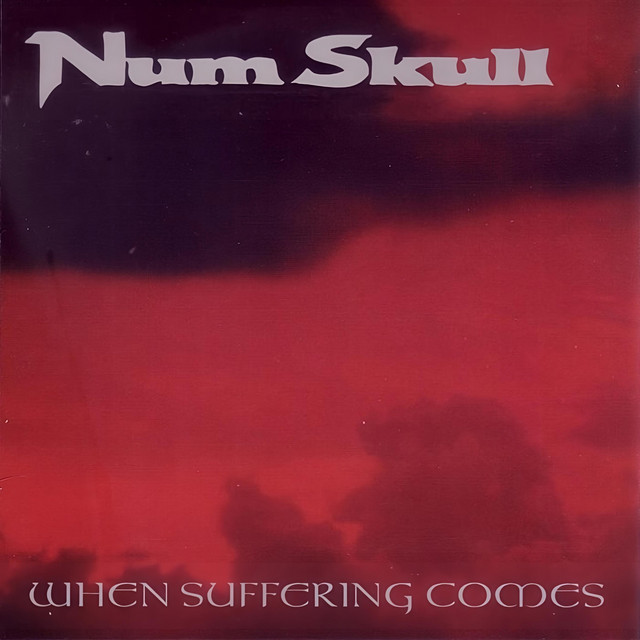 When Suffering Comes - Album by Num Skull | Spotify
