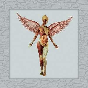 In Utero - 20th Anniversary - Deluxe Edition - Album by Nirvana