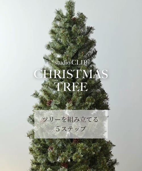 ツリー 180cm[CHRISTMAS 2024] | [公式]スタディオクリップ（studio