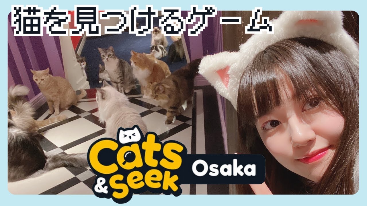 Cats and Seek: Osaka】I look for a lot of cats in Osaka.[Eng Sub