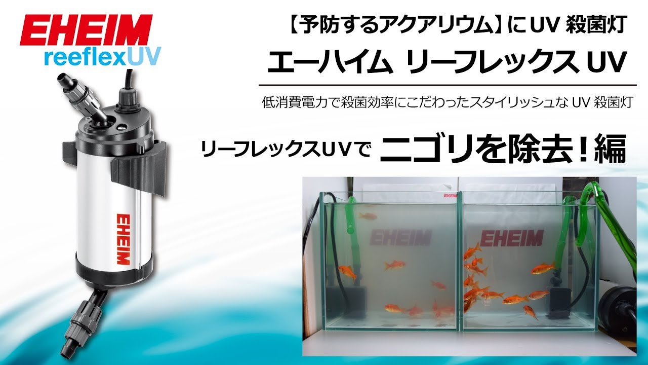 EHEIM｜エーハイム リーフレックスUV800 UV殺菌灯 ｜ 外部式フィルター