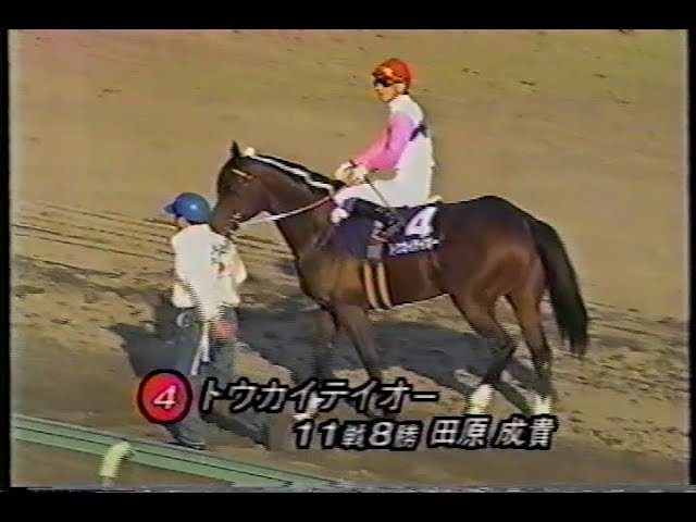 1993（平成5）年 トウカイテイオー ☆ 第38回 有馬記念 完全中継 （＋