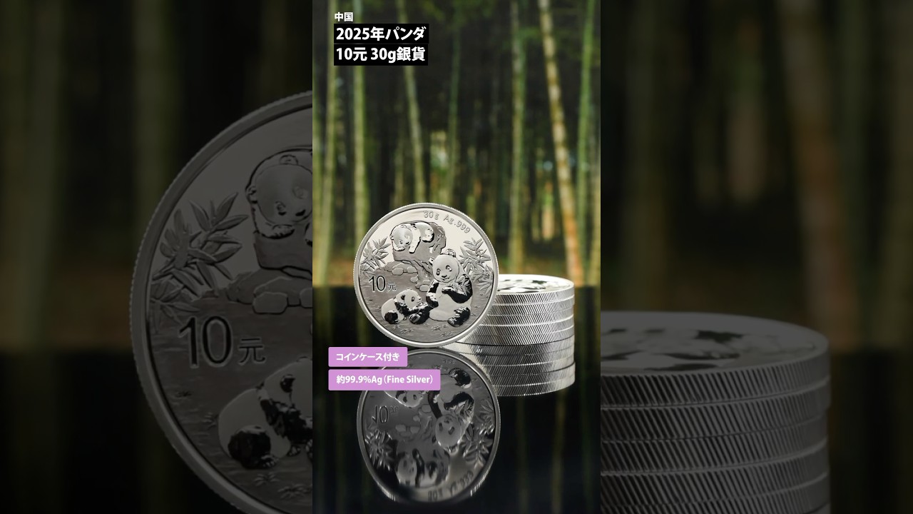 中国パンダ銀貨 NGC MS69 2023年 30g銀貨 中国パンダ銀貨 NGC MS69