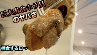 I was able to capture the moment when the disgustingness of the