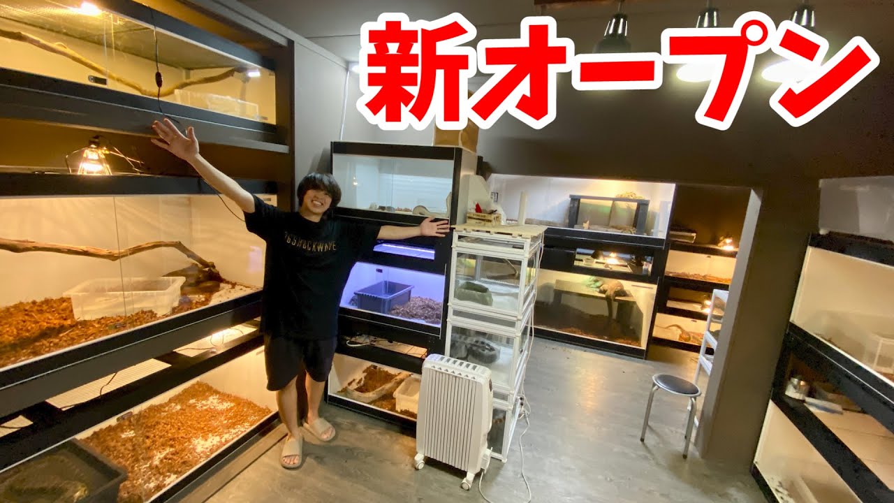 REPTI WILD 爬虫類飼育ケージ 都内(東部)、千葉(都内より)限定 REPTI