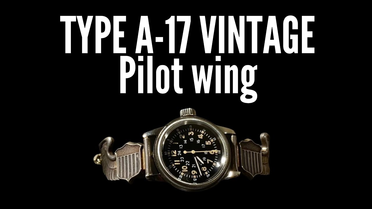 Vintage Pilot wing bage