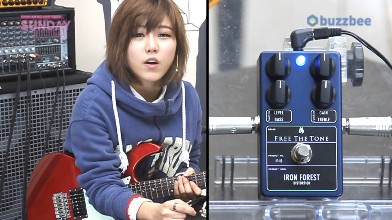 FreeTheTone 이펙터 IRON FOREST DISTORTION IF-1D - YouTube