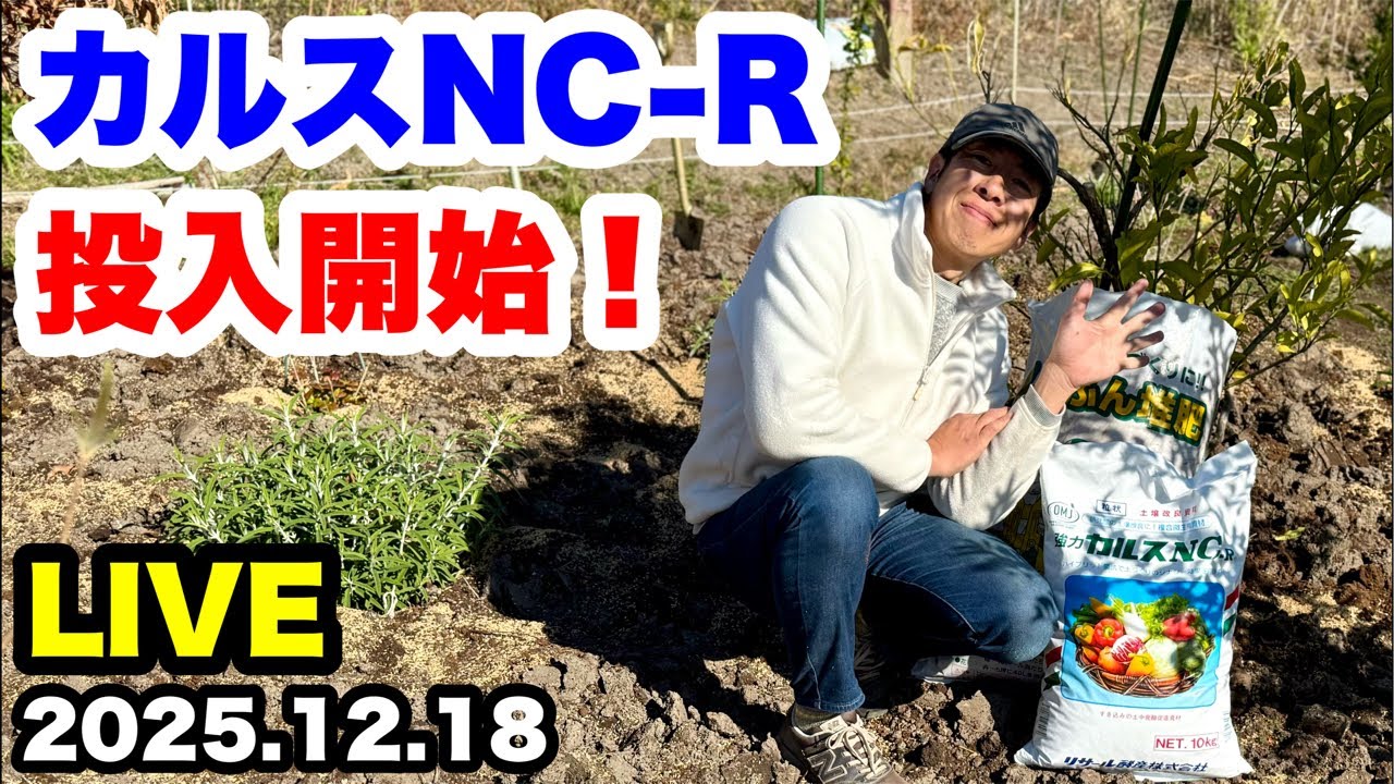 ゆるふわ園芸やっちゃんねる がライブ配信中！ - YouTube