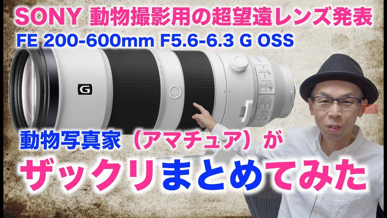 FE 200-600mm F5.6-6.3 G OSS】SONYから動物撮影用Gレンズ発表された