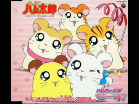 Tottoko Hamutaro Zenshudaika-Shu (2005) - YouTube