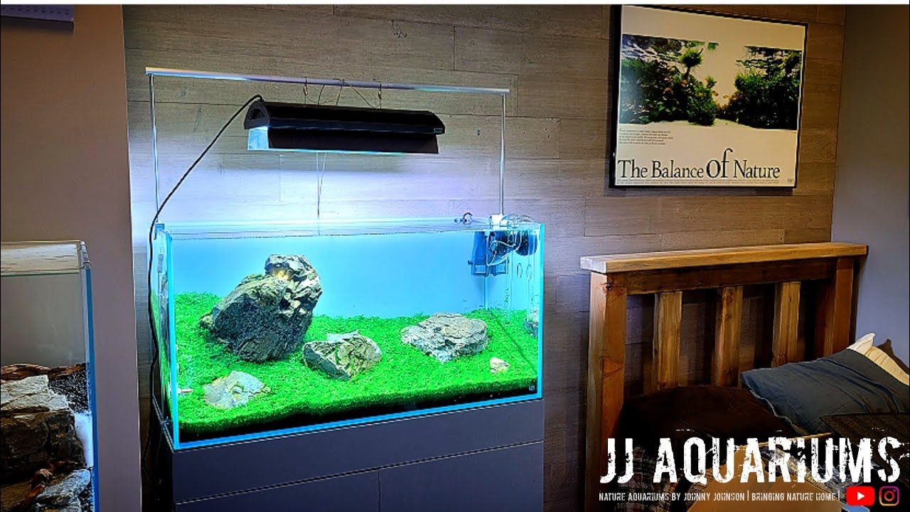 ソーラーRGB リミテッドエディション ホワイト／ブラック 発売 製品