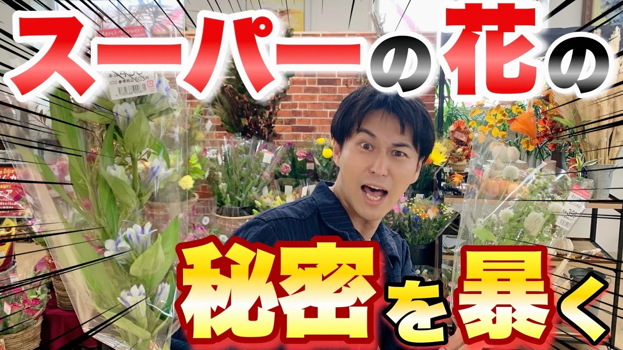 Premiere revealed to the media] The shocking secret behind cheap