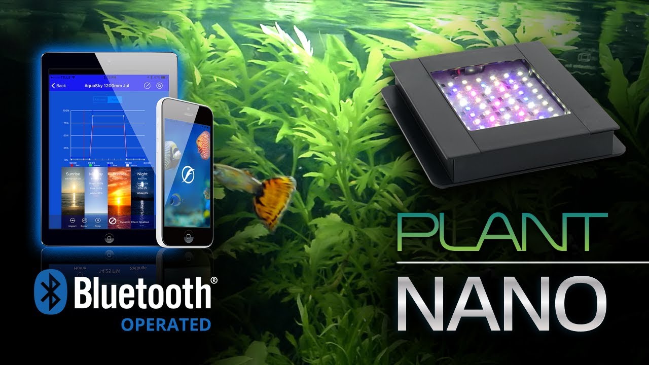 Fluval Plant 3.0 NANO Aquarium Bluetooth LED - YouTube