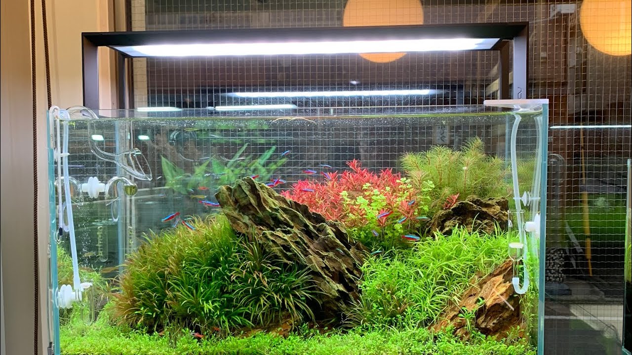 発売前レビュー】ADA アクアスカイRGB60の検証① 未発売のLEDライトを