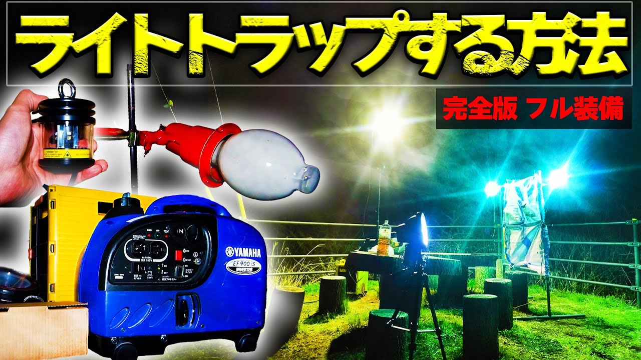 Insect collecting] How to use light traps - YouTube