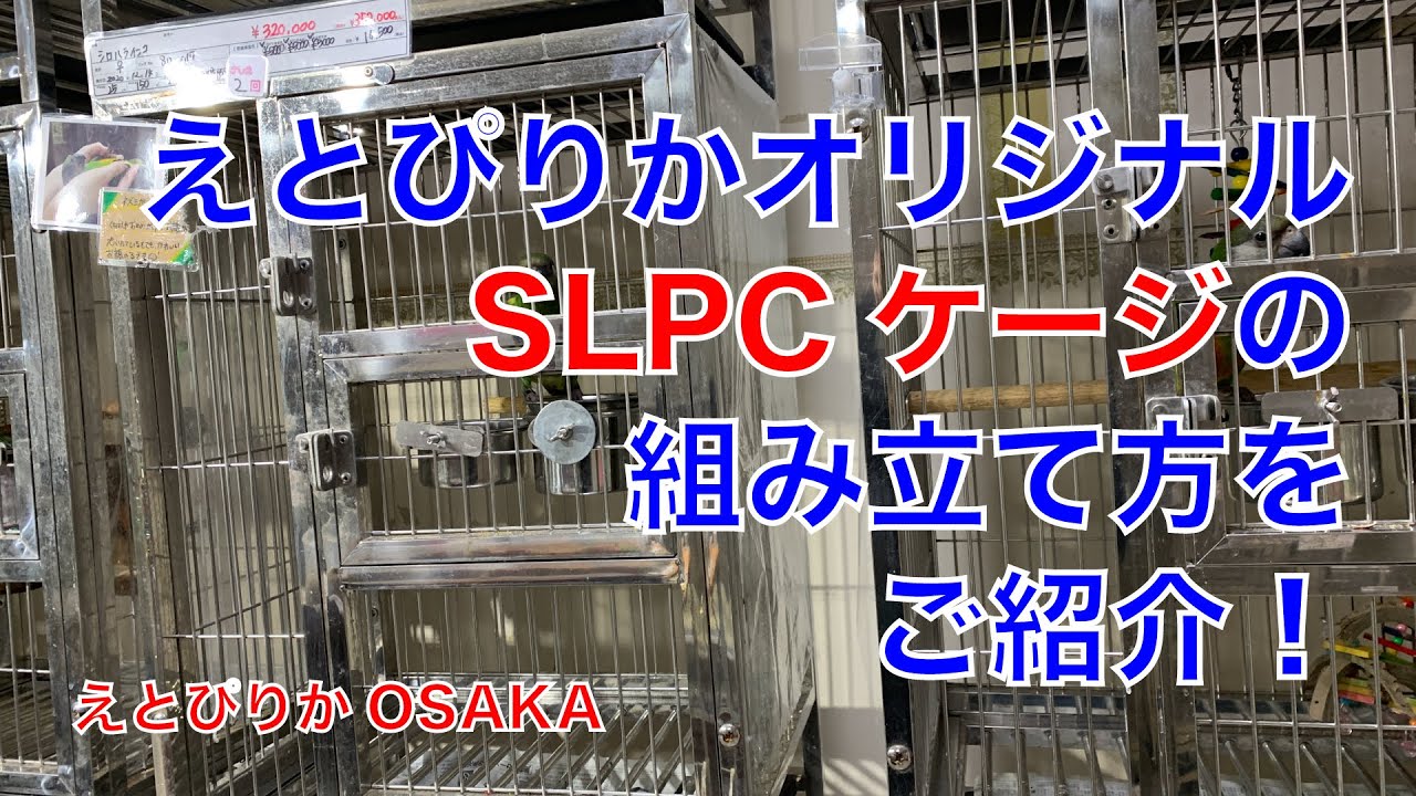 えとぴりかOSAKA】SLPCケージの組み立て方！【オリジナルケージ