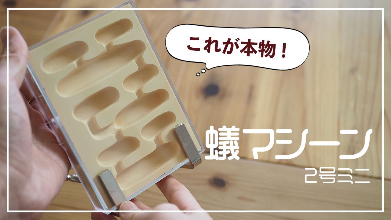 元祖アリ飼育セット】Antroom蟻マシーン2号ミニを2年使用後レビュー