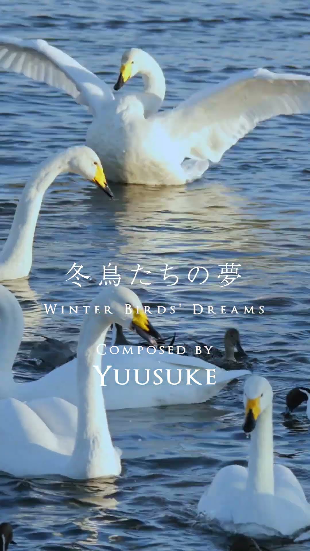 Yuusuke - YouTube