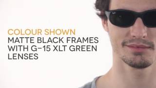 Ray-Ban RB2016 Daddy-O II W2578 オーバル Rubber Black サングラス