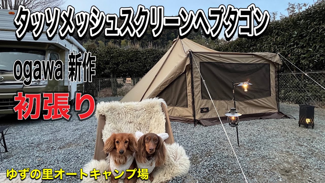 Ogawa 新作 タッソメッシュスクリーンヘプタゴン 」初張り - YouTube