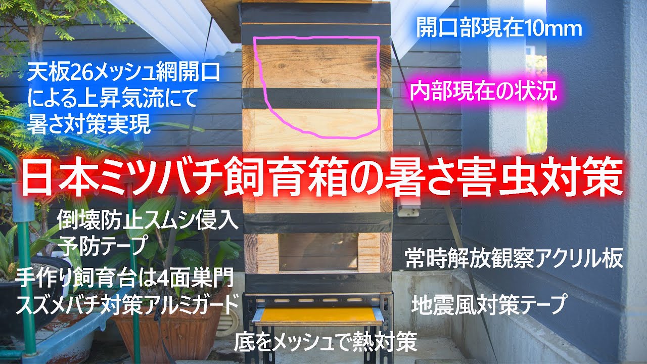 快適な🐝日本ミツバチ飼育🐝すぐ訪れる猛暑と害虫対策の巣箱🐝 - YouTube