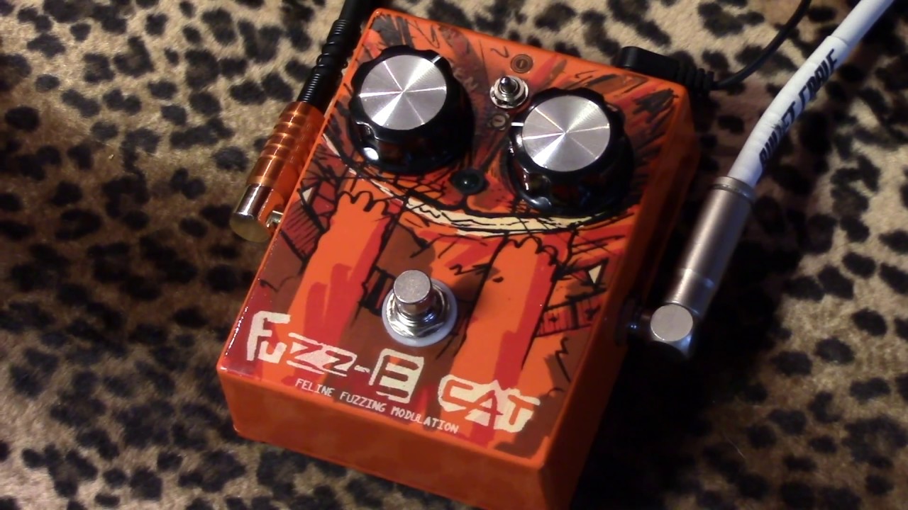Paradox Effects | Fuzz-E Cat Demo - YouTube