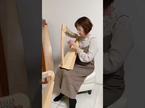 フレックスハープ 15弦・アクイラ弦 登場！ | 大阪・奈良 ヴォイス