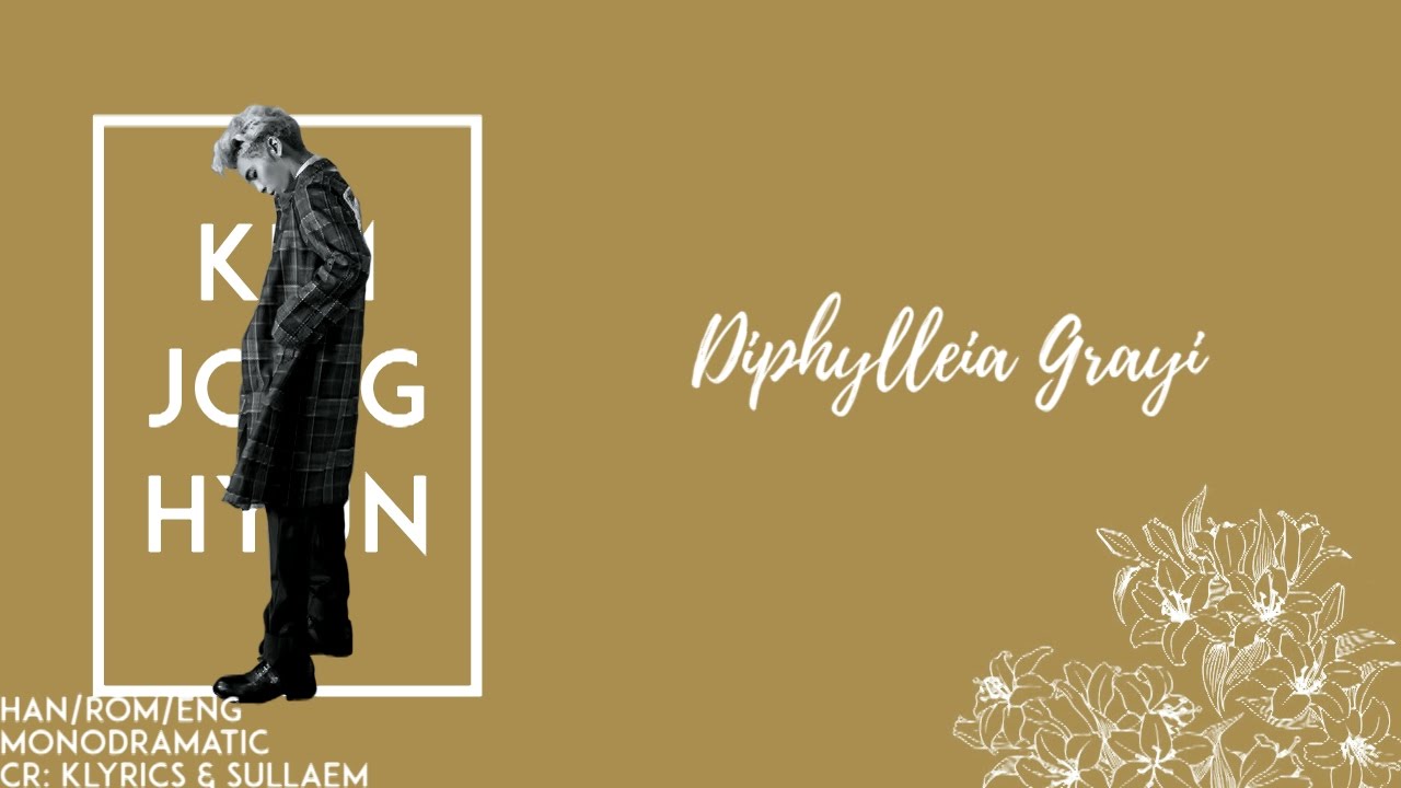 Jonghyun (종현) - Diphylleia Grayi (Skeleton Flower) (산하엽) (Han