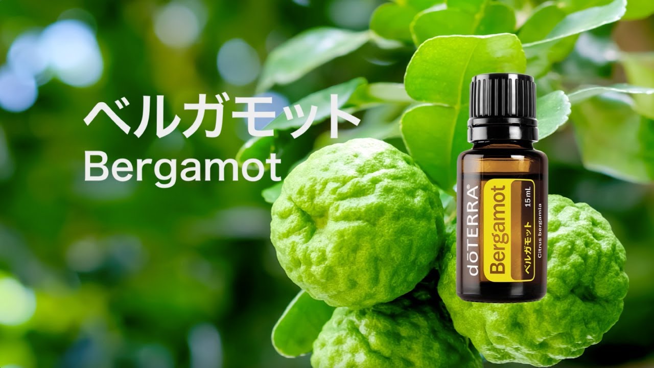ドテラ サイプレス ベルガモット ローズマリー ドテラ サイプレス