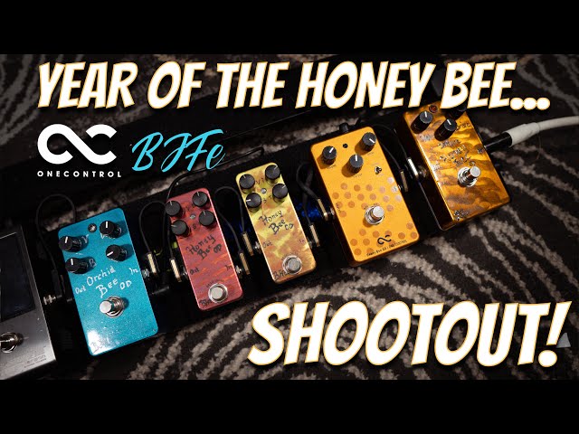 Honey Bee Overdrive Shootout! | BJFe Hardwired HBOD & Orchid Bee +