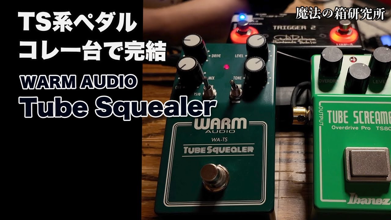 WARM AUDIO ( ウォームオーディオ ) Tube Squealer 送料無料