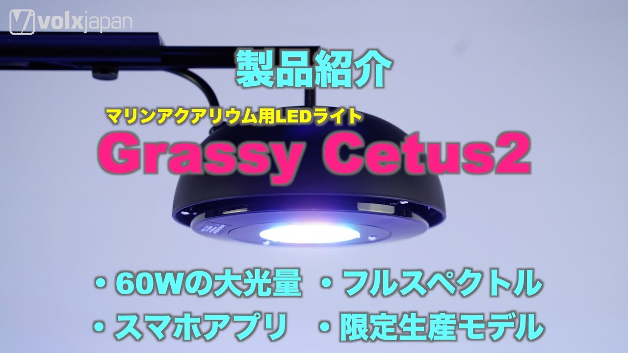 製品紹介】「Grassy Cetus2 」（グラッシーシータス2）マリン