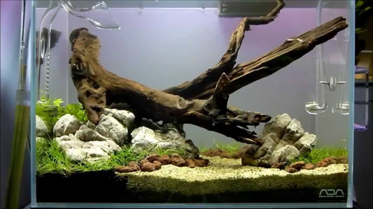 peHa:68 - ADA Cube Garden Mini M - Planted Aquarium - YouTube