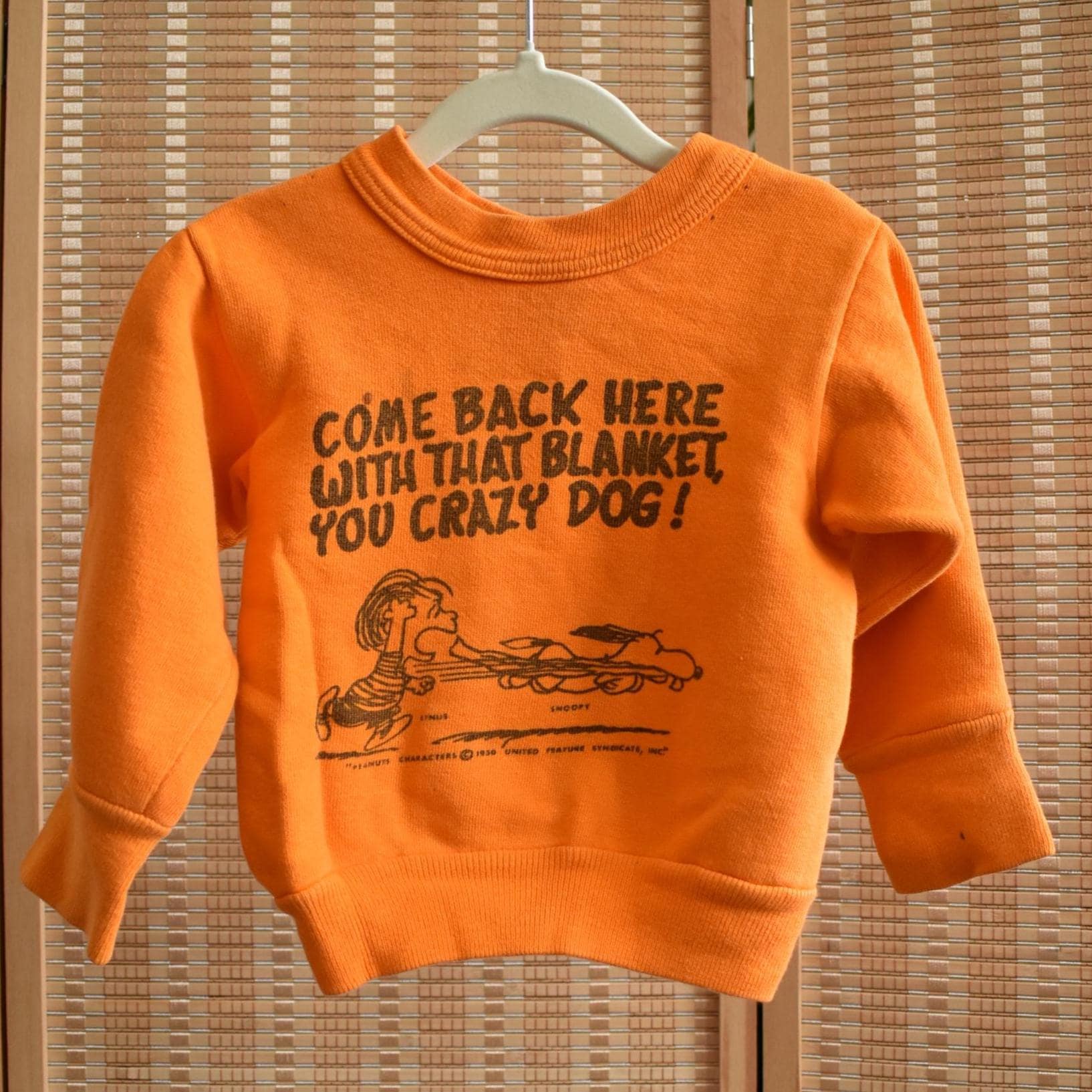 60s Mayo Spruce Snoopy Kids' Pullover Sweater // Linus Blanket