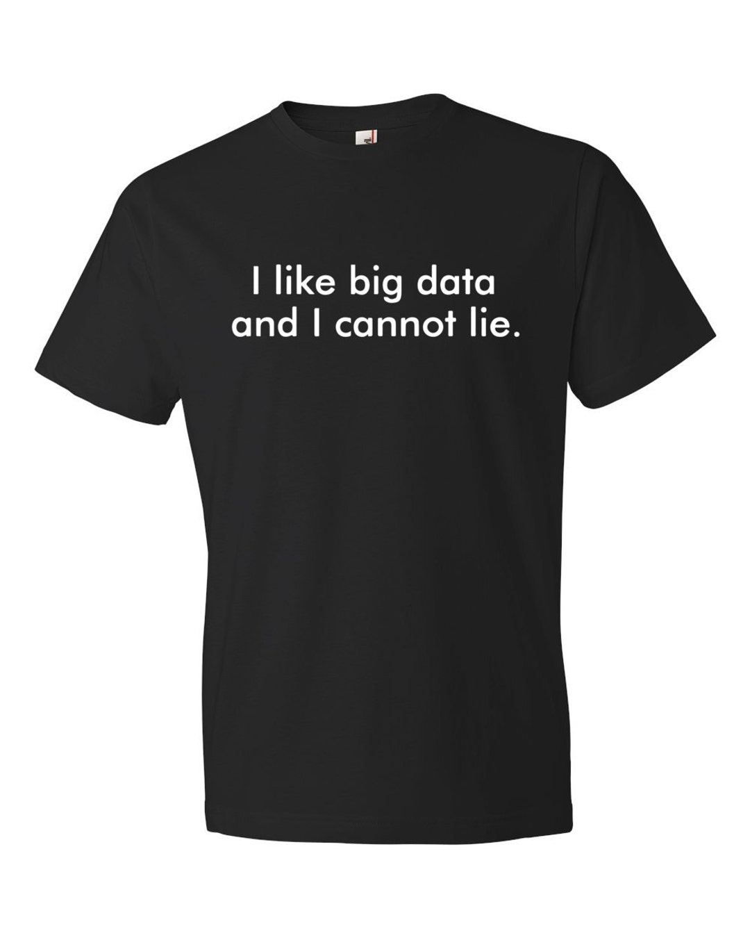 I Like Big Data. and I Cannot Lie Shirt. Big Data Shirt. Big Data