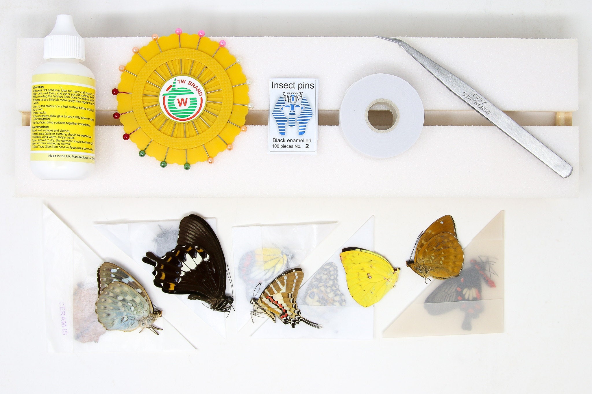 蝶のセッティングキット一式｜プロ仕様のチョウ目昆虫標本製作装置