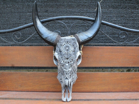 バッファローの角が付いた手彫りの牛の頭蓋骨：ブラックグレーの室内