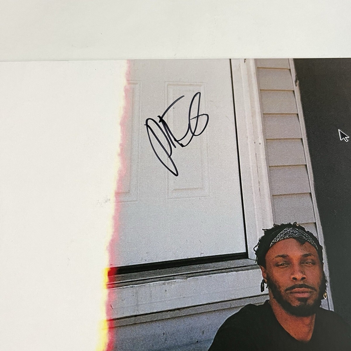 JPEGMAFIA SIGNED VETERAN VINYL RECORD WITH JSA COA | eBay