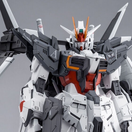 Premium Bandai MG 1/100 GUNDAM Ex IMPULSE Manfred's Mobile Suit