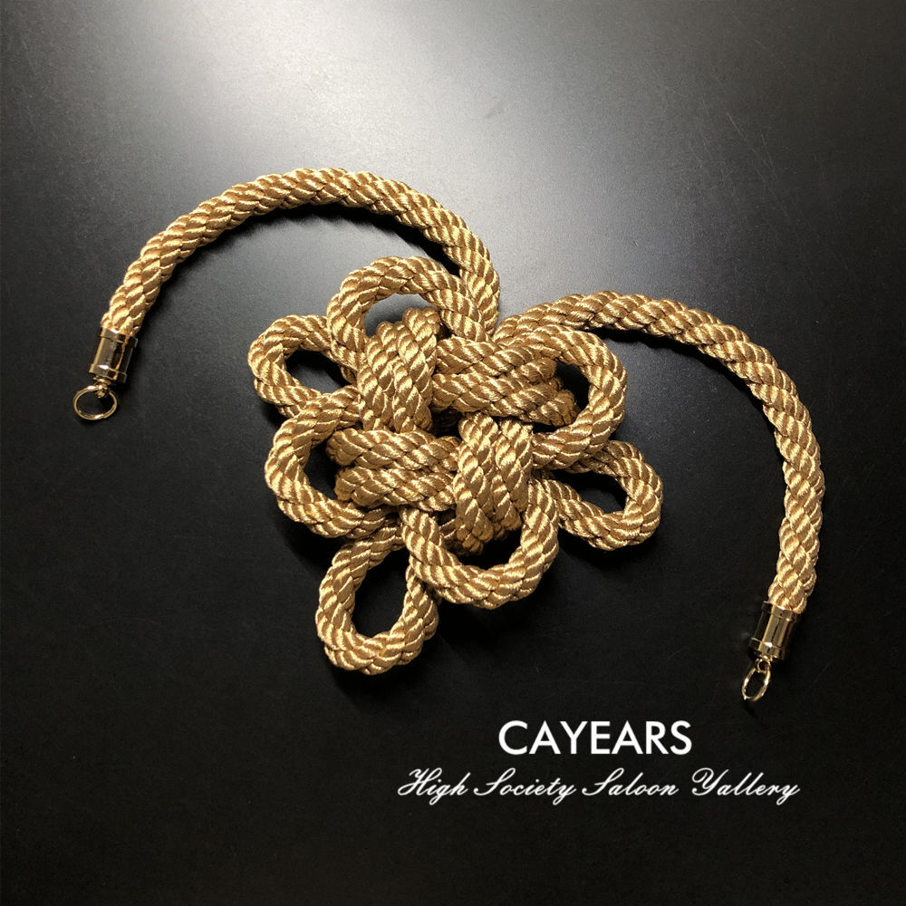 Bronze JDM JP Junction Produce Anniversay Model Kintsuna Luxury