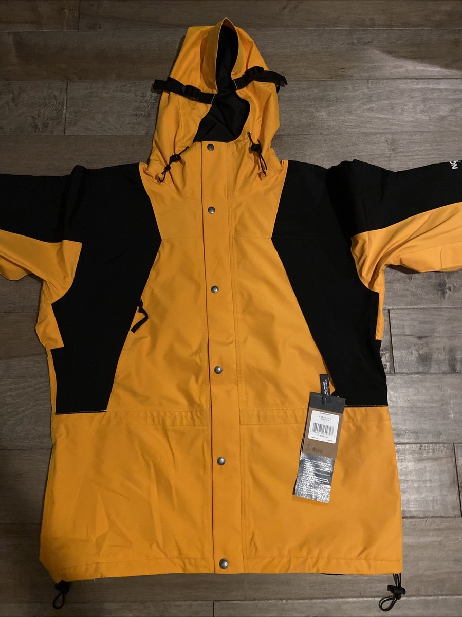 The North Face 1994 RETRO MOUNTAIN FUTURE LIGHT PARKA JACKET