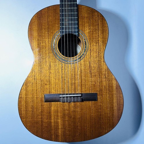 Classical Acoustic Guitar Greg Bennett by SAMICK Model C1 Natural