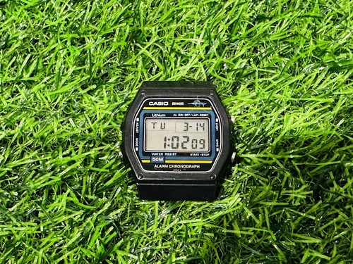 $_12.JPG?set_id=880000500F