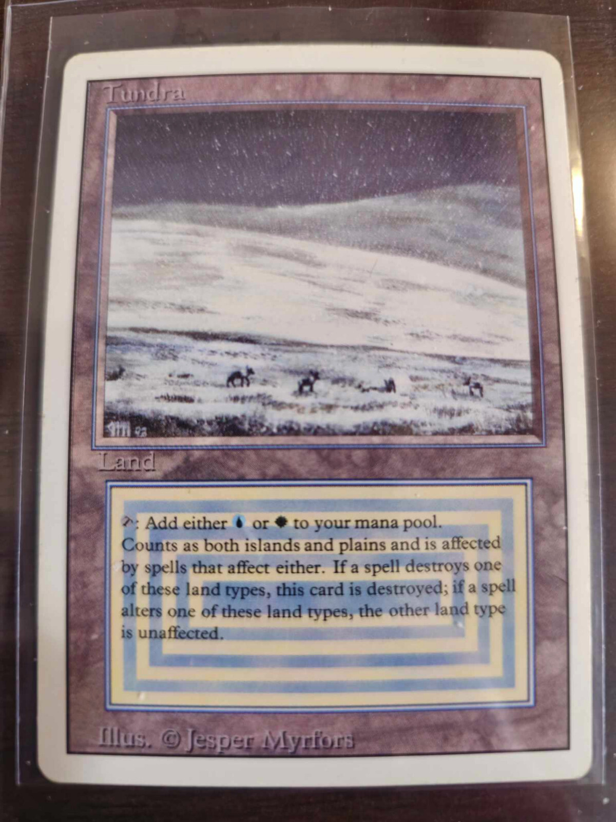MTG Tundra Revised Magic: The Gathering Authentic Rare Dual Land