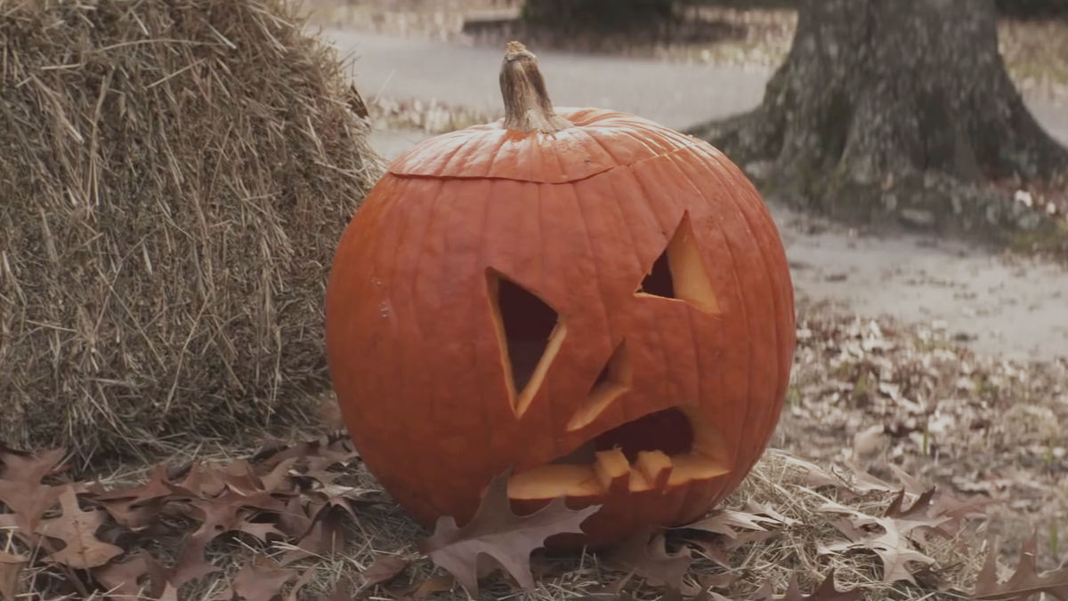 スプラッターホラーの原点ともいえる名作ホラー映画「ハロウィン」の